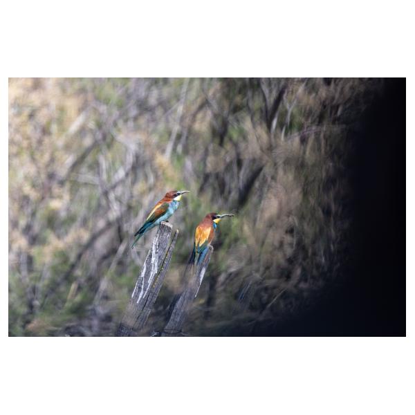 PHOTO84, CLUB, 84 , LUBERON